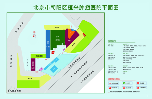 逼被插得好爽网址免费北京市朝阳区桓兴肿瘤医院平面图